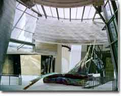 Fabrizio Ruggiero installation created  with Frank. O. Gehry's Guggenheim Museum in Bilbao. 