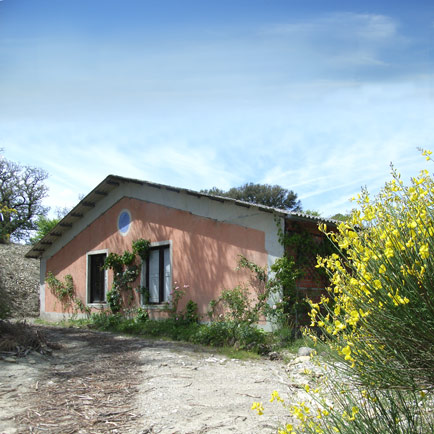 Fabrizio Ruggiero's studio is located up in the hills surrounding Anghiari, in Tuscany, Italy. 