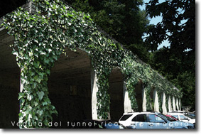 Boschi ad arte 2006/7